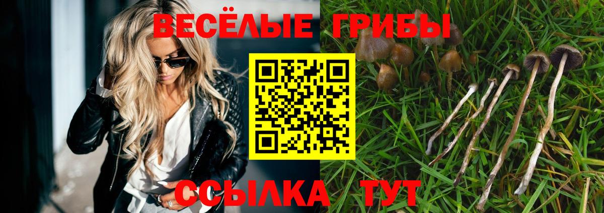 Галлюциногенные грибы Psilocybe Владимир